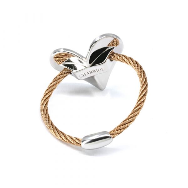Ring Fascination