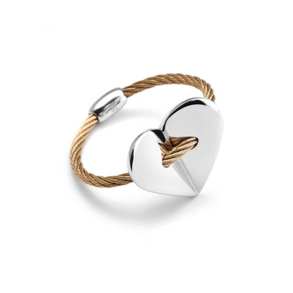Ring Fascination
