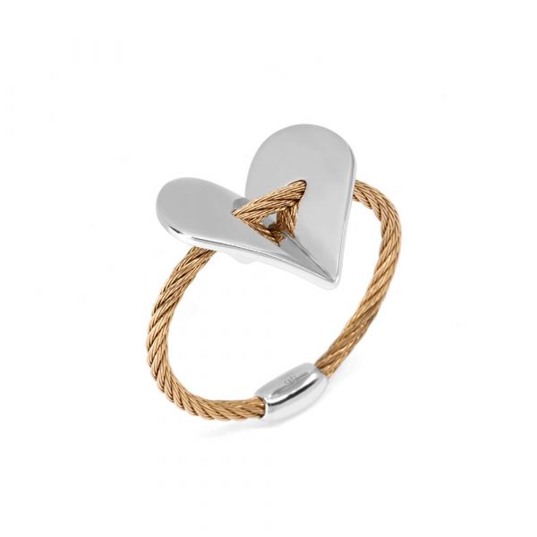 Ring Fascination