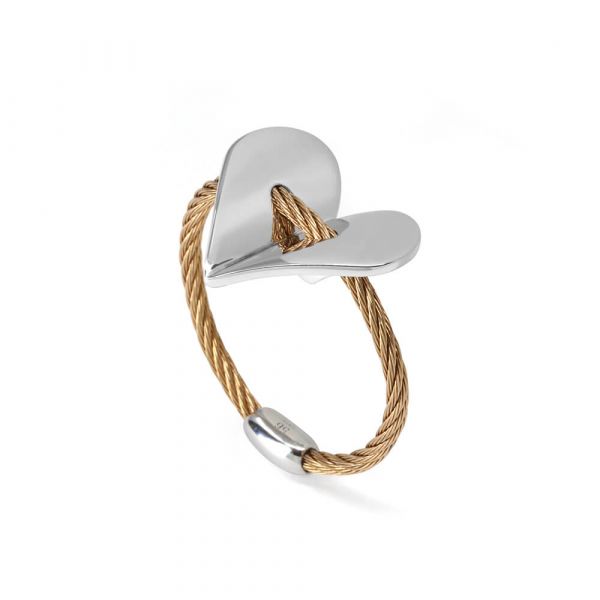 Ring Fascination